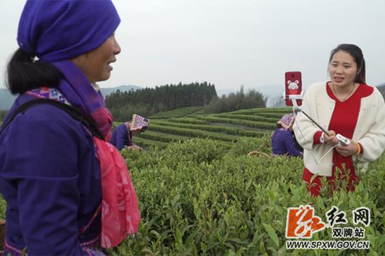 　　蒋丽萍在用自己的“双牌味道”小店直播。