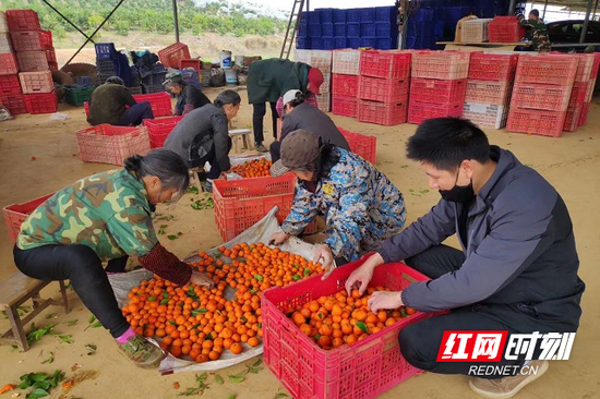 电商企业到基地收货。