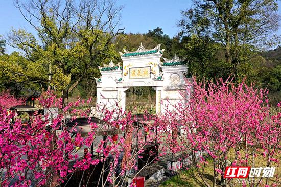 常德桃花源，放眼望去，桃红柳绿，小草茵茵；置身其间，小河湍湍，流水哗哗，惬意满满。