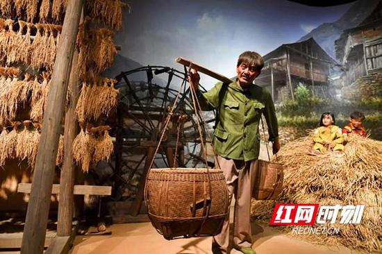 隆平水稻博物馆内逼真的场景还原勾起人们心中温暖的农耕记忆。