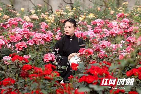 一名游客在花海内赏花。