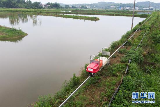  5月26日，在湖南湘潭县谭家山镇红星龙虾养殖基地，农用运输车在运输小龙虾（无人机照片）。新华社发（陈思汗摄）