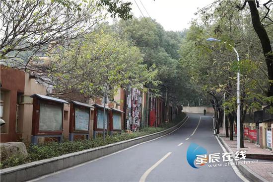(雨花区井巷社区垃圾不落地,环境宜人。 龙旭 摄)