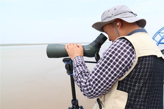 5月27日，此次麋鹿调查巡护小分队负责人宋玉成正在用望远镜寻找麋鹿的身影。新华社记者蔡潇潇摄