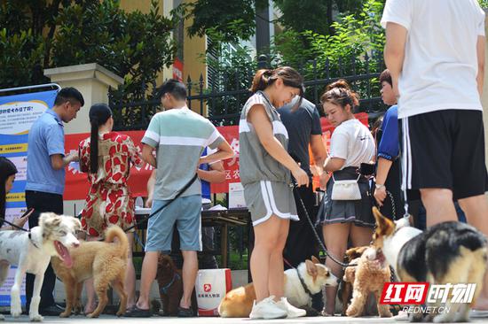 长沙公安近日在全市启动不文明养犬集中整治行动，强力推进养犬许可办理，进一步加大涉犬执法管理力度。