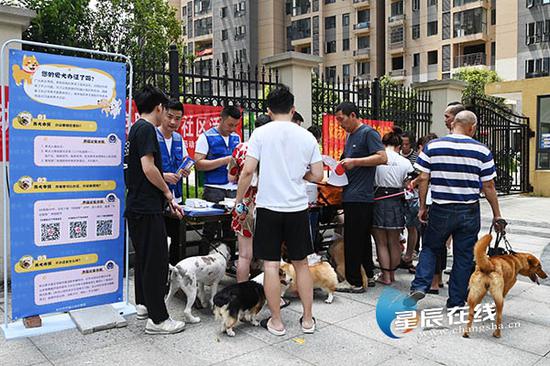 　（创造文明养犬环境 根本上要求市民文明素质提升）