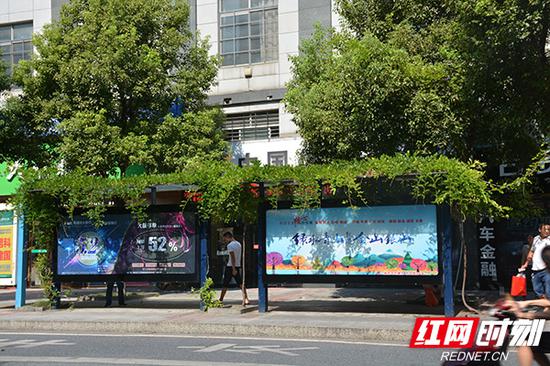 公交车站立体绿化。