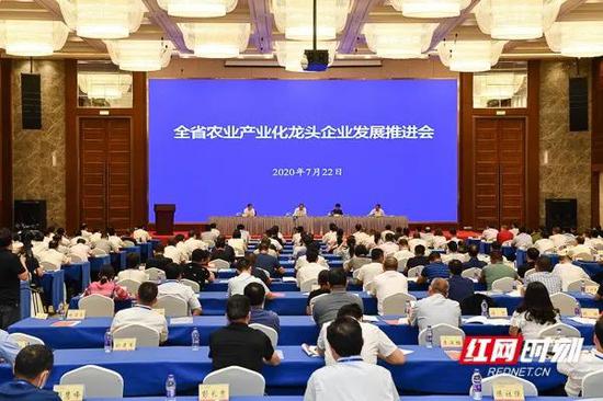 7月22日下午,全省农业产业化龙头企业发展推进会在长沙召开。