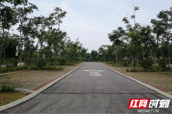 高颜值的房车营地生态停车场。