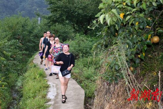 (8月11日,沅陵县官庄镇界亭驿村,游客从四季水果采摘园满载而归。)