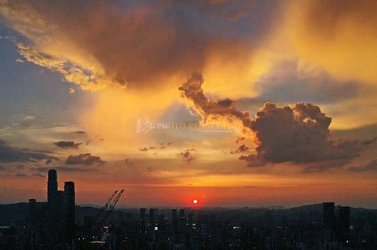 8月16日傍晚的云霞，有人说像天狗追日，有人说像鸵鸟。图/岑庆良