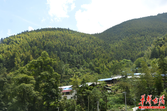  （空树岩村坐落在大山之脚。）