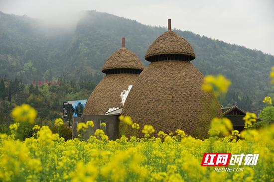 建造过程中的草树厕所。