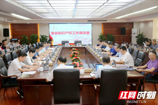 日前,全省知识产权工作座谈会在长沙召开。(摄影 许英)