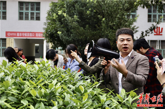龚意成（右一）介绍八角茶业的情况 刘正良 摄
