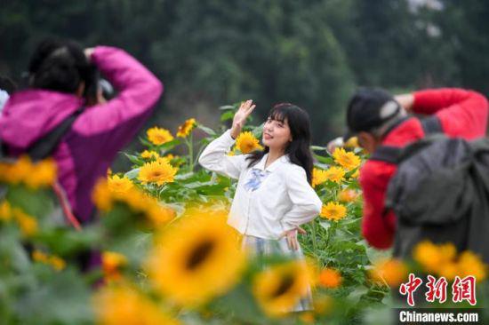 两位摄影师为花丛中的女孩拍摄。　杨华峰 摄