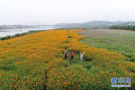 花海美景。肖亚辉摄