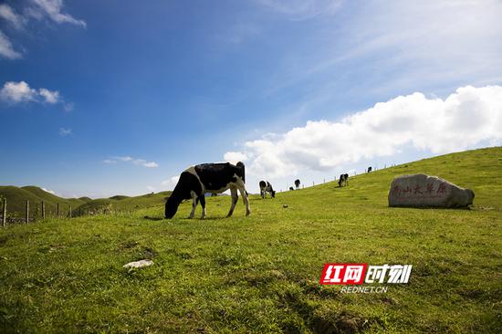 苗疆要区 悠然自得