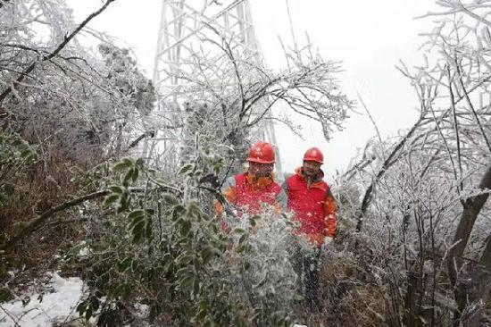 12月23日，国网娄底供电公司员工在110千伏岳龙杨线3号塔清理树障。（李铭明 李沙）