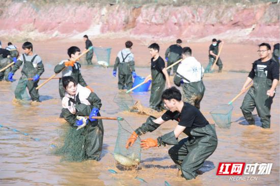 湖南外国语职业学院的师生们一起捕鱼。
