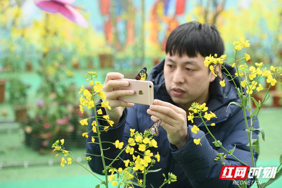 蝶展期间,将常态化推出多项寓教于乐的科普互动活动,为游客们创造美妙的视、听、嗅、触多重体验