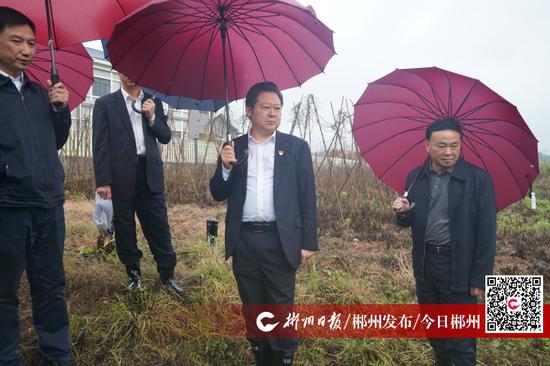 调研现场