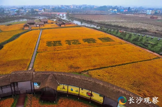 ▲ 图为稻花香里农耕文化园
