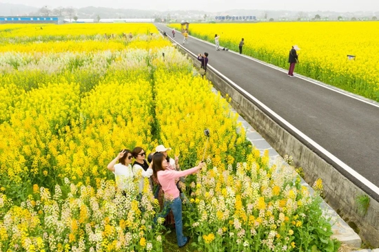 3月15日，长沙县隆平稻作公园。傅聪 摄