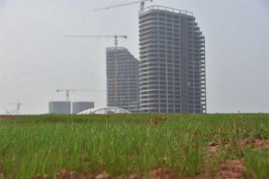 湖南省株洲市清水塘地区经过治理的污染场地重披绿装（2022年3月15日摄）。新华社记者 白田田 摄
