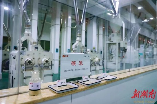 金健米业粮食工业城精米生产车间