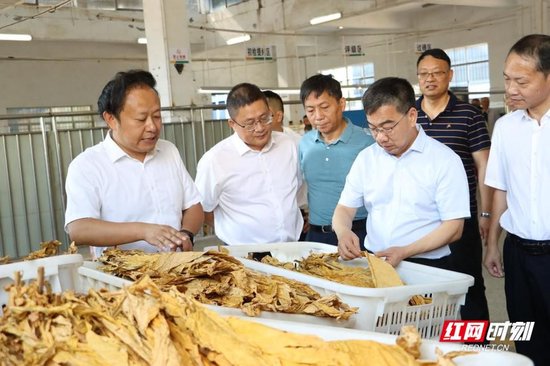 孔祥统(右二)在邵阳县塘渡口烟站调研指导烟叶生产工作。