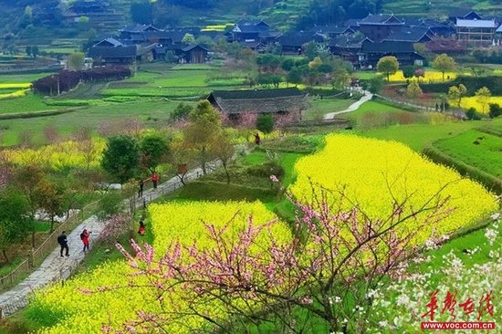 (奉嘎山古桃花源景区。娄底文旅广体局供图)
