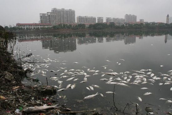 治理前的常德穿紫河（资料图片）。新华社发