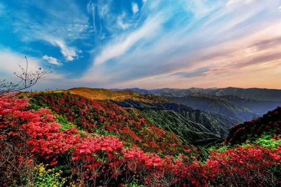阳明山国家森林公园。