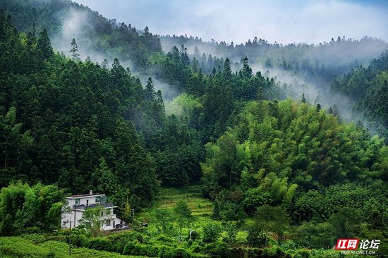 秋日桂东：云来山不语，人在画中行