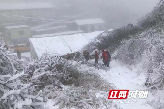 城步县茅坪供电所技术人员在翻山越岭巡护供电线路。