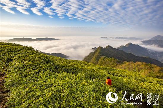 云台山风景区。邓吉元摄