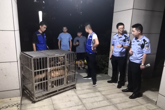 在整治行动中,岳麓公安分局金星派出所民警联合专职捕犬队员在小区内扣押两只禁养犬只。 警方供图