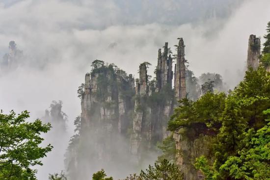 ▲世界自然遗产张家界武陵源风景名胜区天子山景区,如诗如画,宛若仙境。(张潘 摄)
