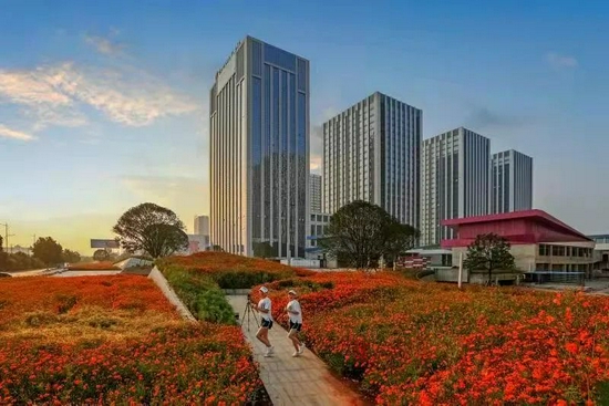 大汉金桥国际城