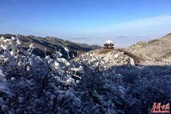 （大围山景区银装素裹分外妖娆。刘凤娥 供图）