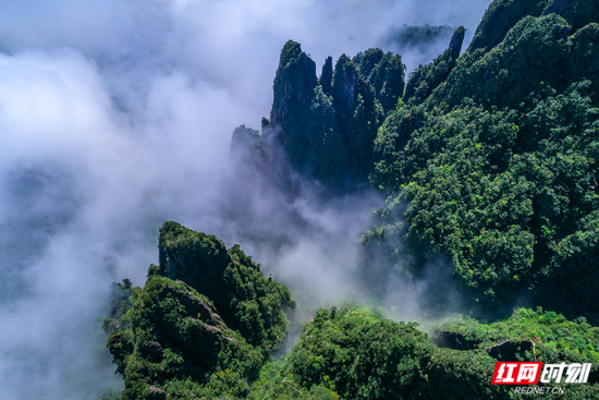 郴州宜章县莽山景区。