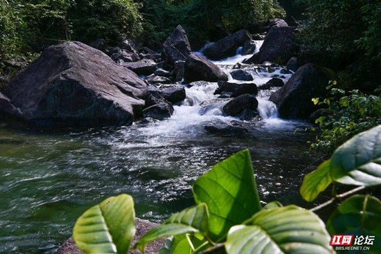 　　湖南省永州市江永源口自然保护区位于都庞岭（南岭山脉五岭之一）系南部花山北端，属省级自然保护区，物种丰富。摄影/杨勇