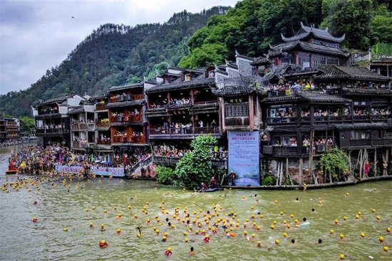 凤凰古城“抢鸭子”大赛(摄影/陈敏捷)。