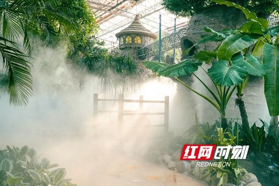游客们可以在“悠乐宝岛”主题车厢探索雨林的生机与活力。