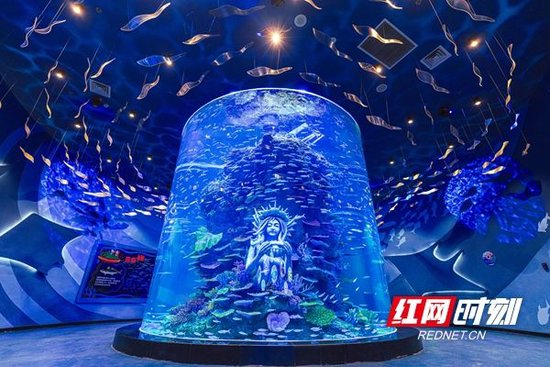 约4万尾各类观赏性鱼类