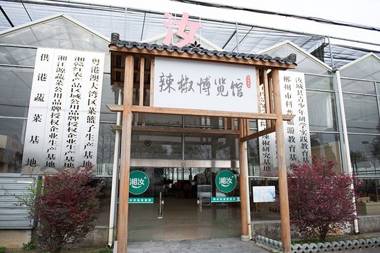 大坪镇的研学实践教育基地辣椒博览馆。