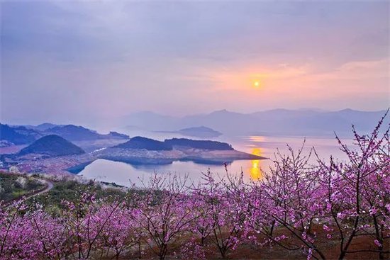 东江湖·白廊桃花节