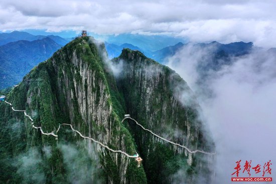 (莽山五指峰景区现云海景观,如梦如幻,蔚为壮观。郭立亮 摄)