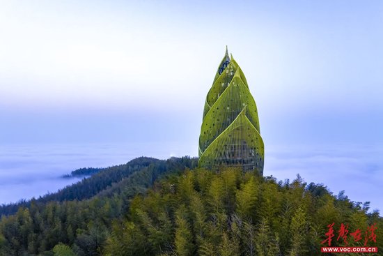(桃江县桃花江竹海景区云雾缭绕。熊朝阳 摄)